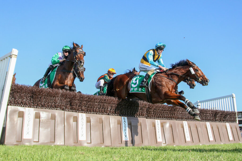 Grand Annual Steeplechase 2025 Field, Tips, Betting Odds, Results