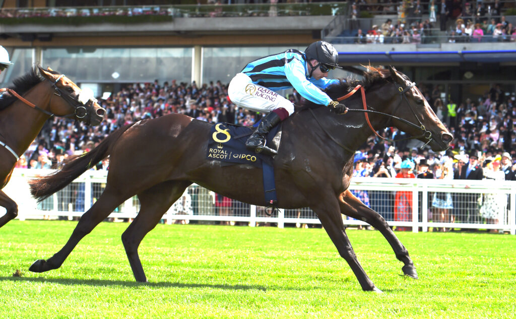 Asfoora joins Australian greats with Royal Ascot win