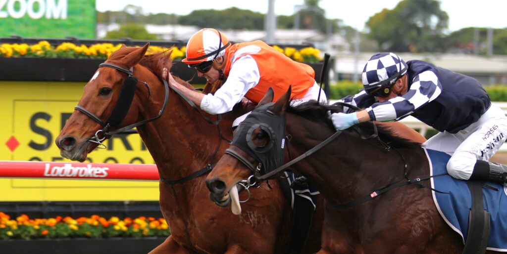 Melbourne Cup champ wins another Tatt’s Cup