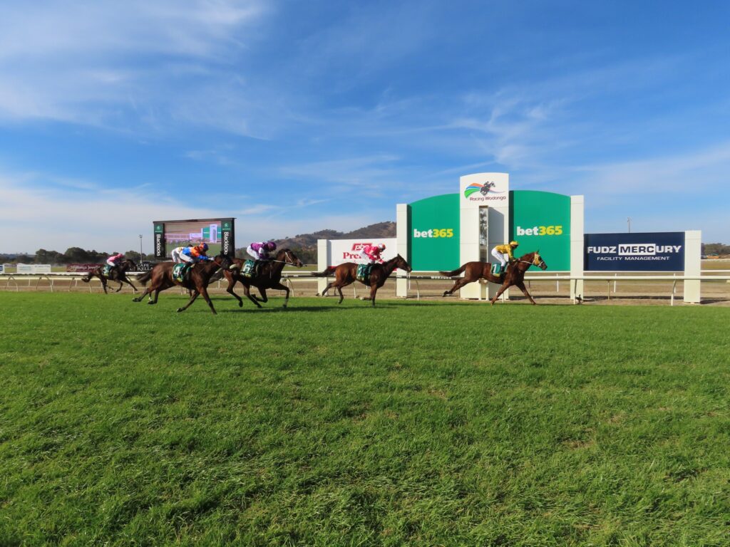 14/7/2024 Horse Racing Tips and Best Bets – Wodonga, Jack Maher Classic day