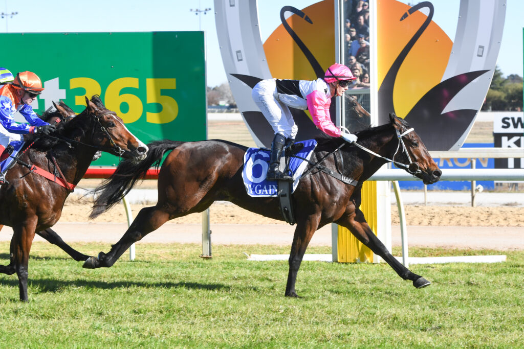 Maiden winner heads to town