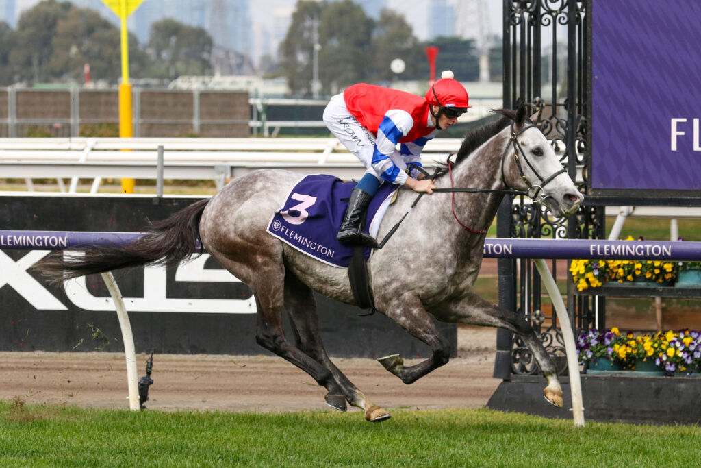 Berkshire Breeze eyes Melbourne Cup after easy Flemington win