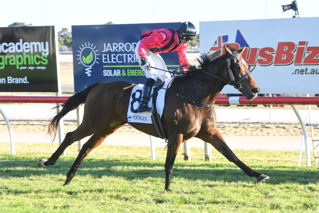 Golden Topaz winner heads odds for the Santa Ana Lane Final