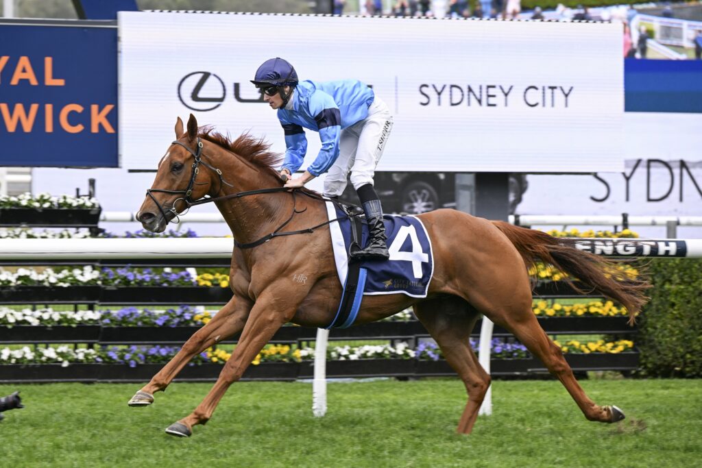 Exciting Sydney stayer heads odds in the Newcastle Cup