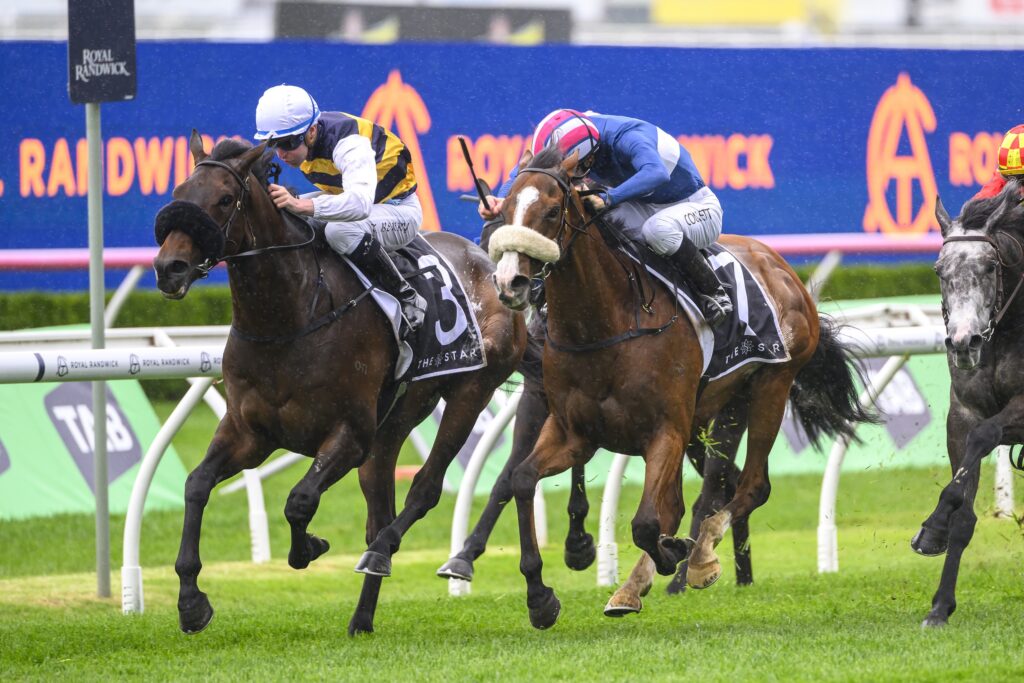 Athabascan scratched from 2024 Melbourne Cup field