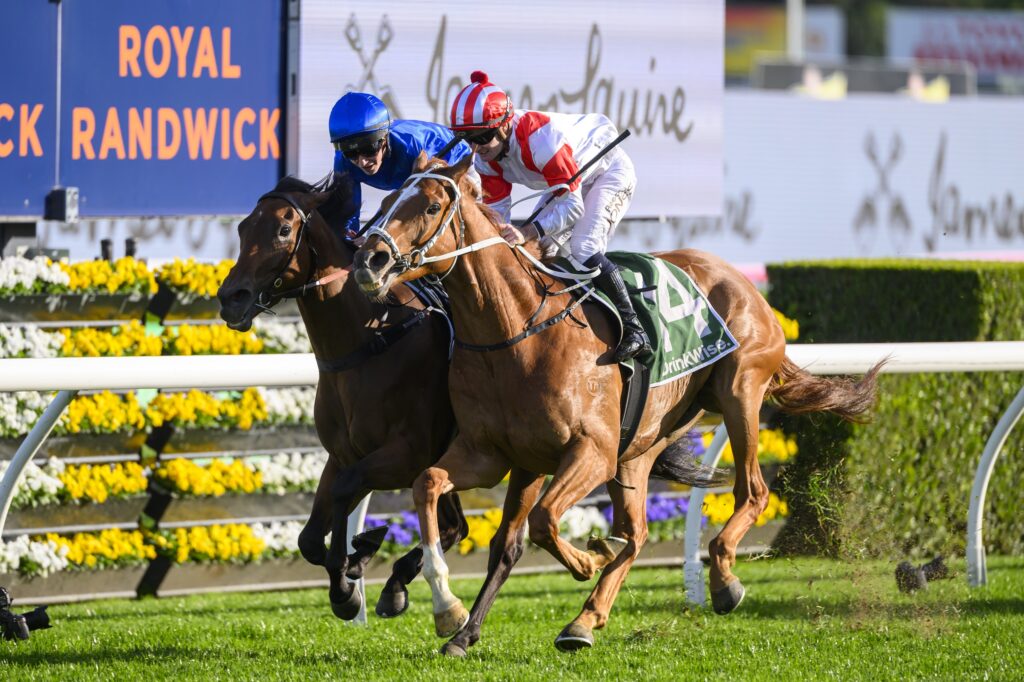 Waller keeps working on his Melbourne Cup Legend