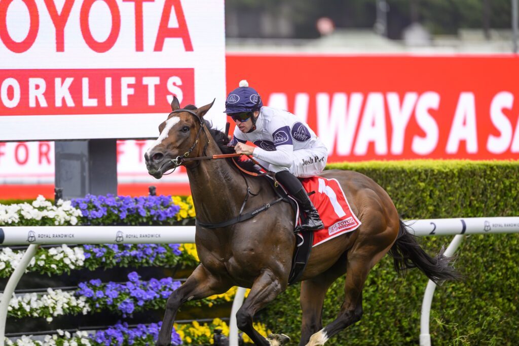 Overpass resumes with a win in the Sydney Stakes