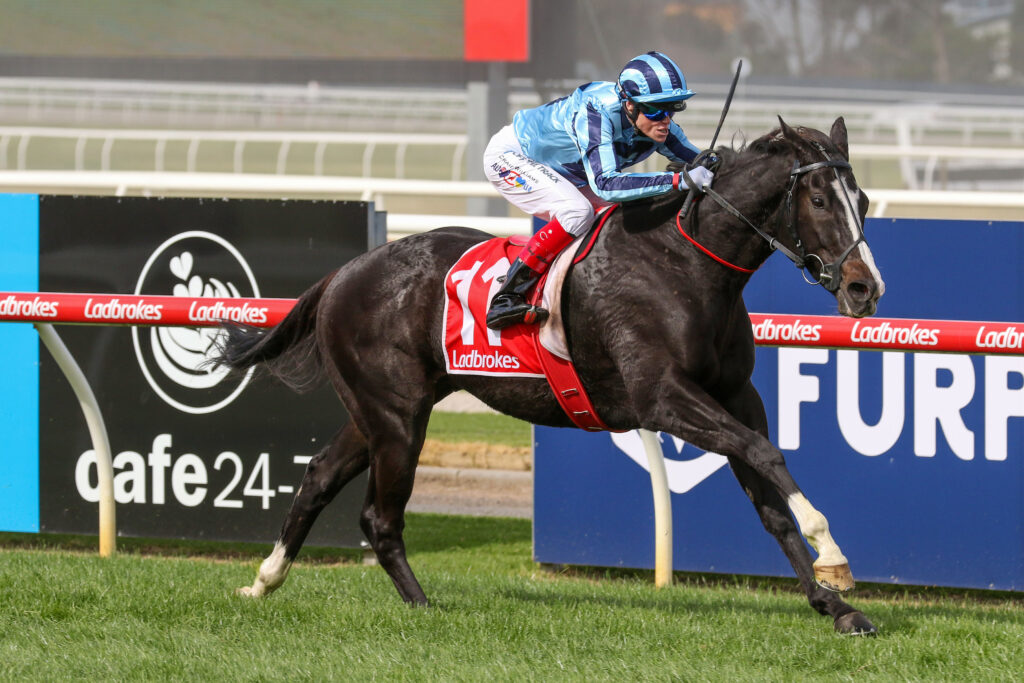 Onesmoothoperator penalised into Melbourne Cup field