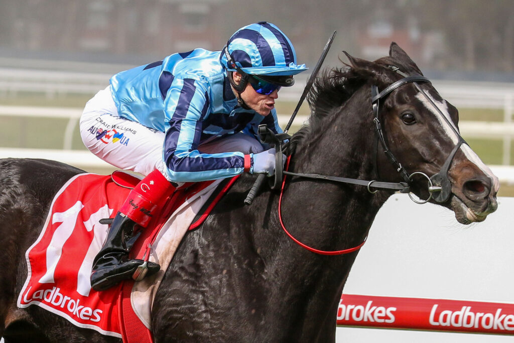 Another leading Melbourne Cup chance under injury cloud