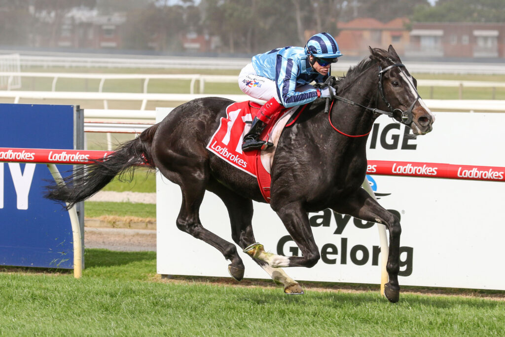 Vets make final call on leading 2024 Melbourne Cup horse