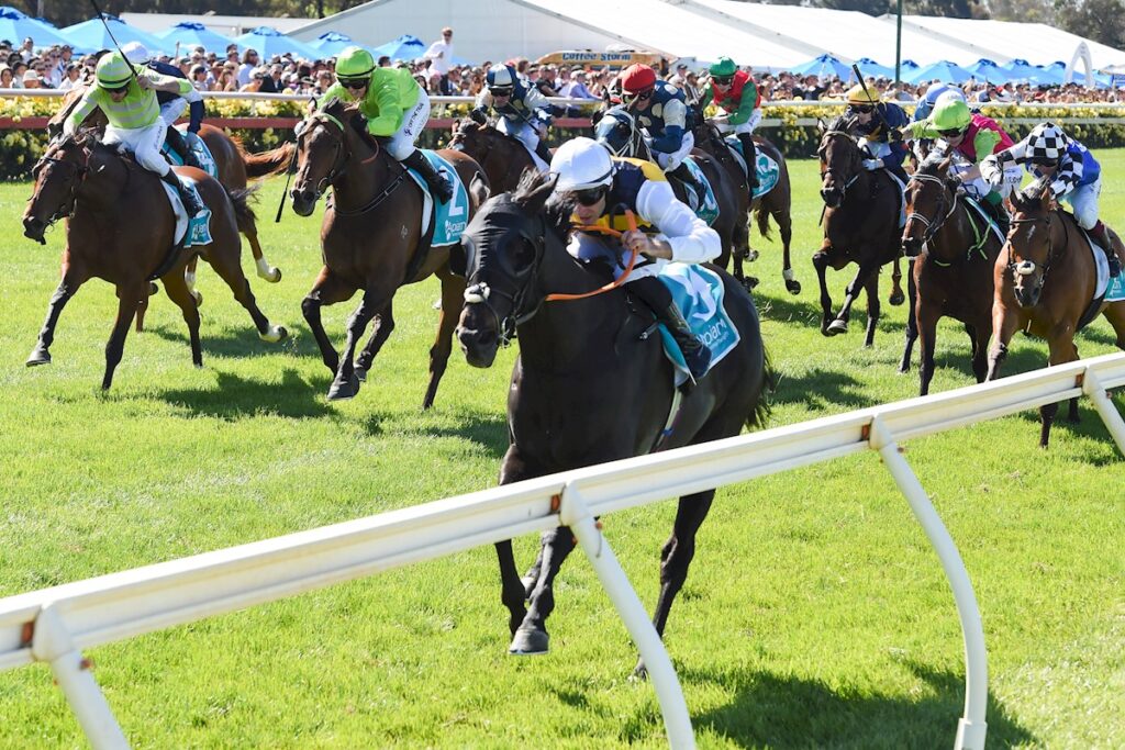 Sea King races into Melbourne Cup with Bendigo Cup win