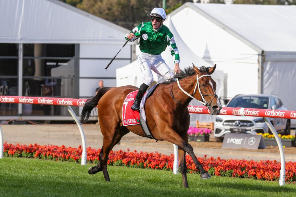 Cox Plate winner Via Sistina’s odds slashed to win Melbourne Cup 2024