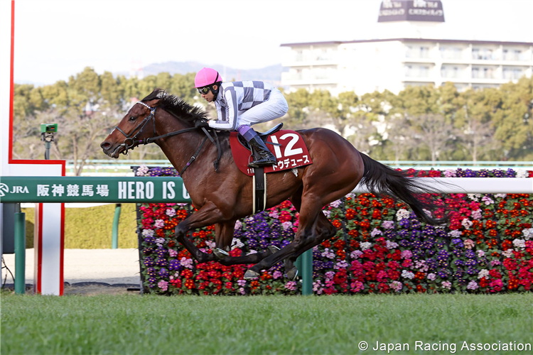 Champion Japanese galloper Do Deuce retired to stud