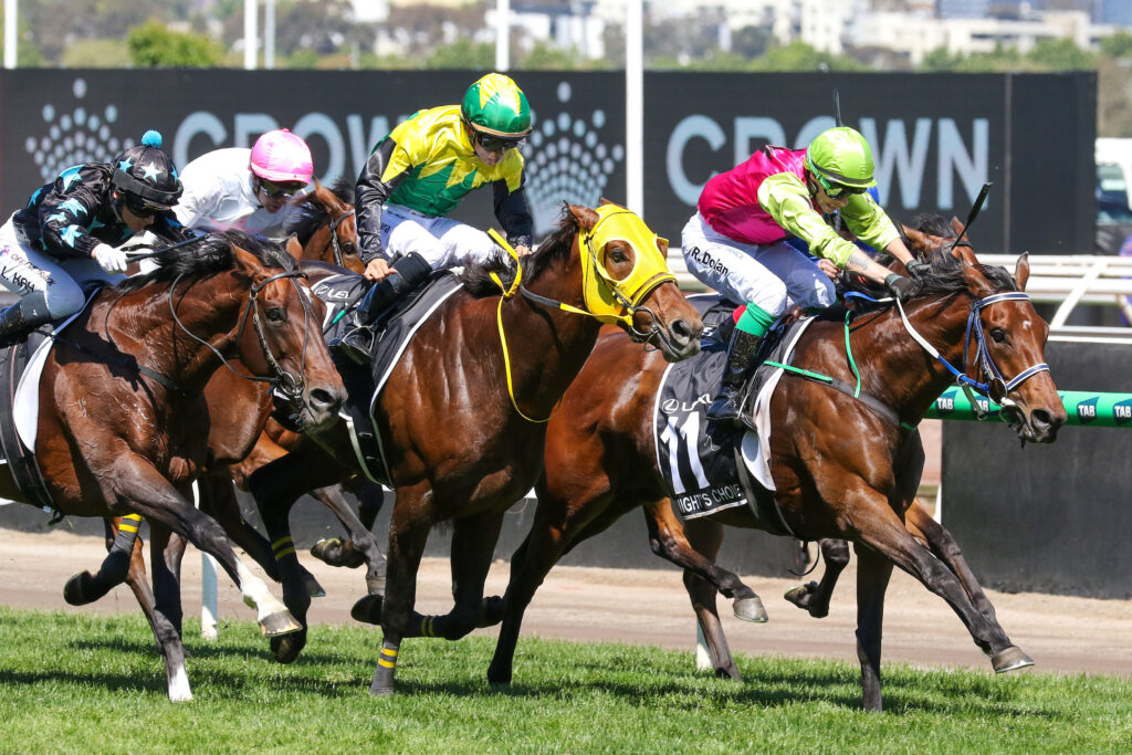 Knight’s Choice eyes Melbourne Cup defence in 2025