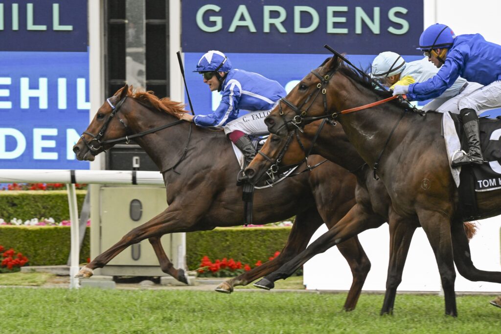 9/11/2024 Horse Racing Tips and Best Bets – Rosehill, Five Diamonds day