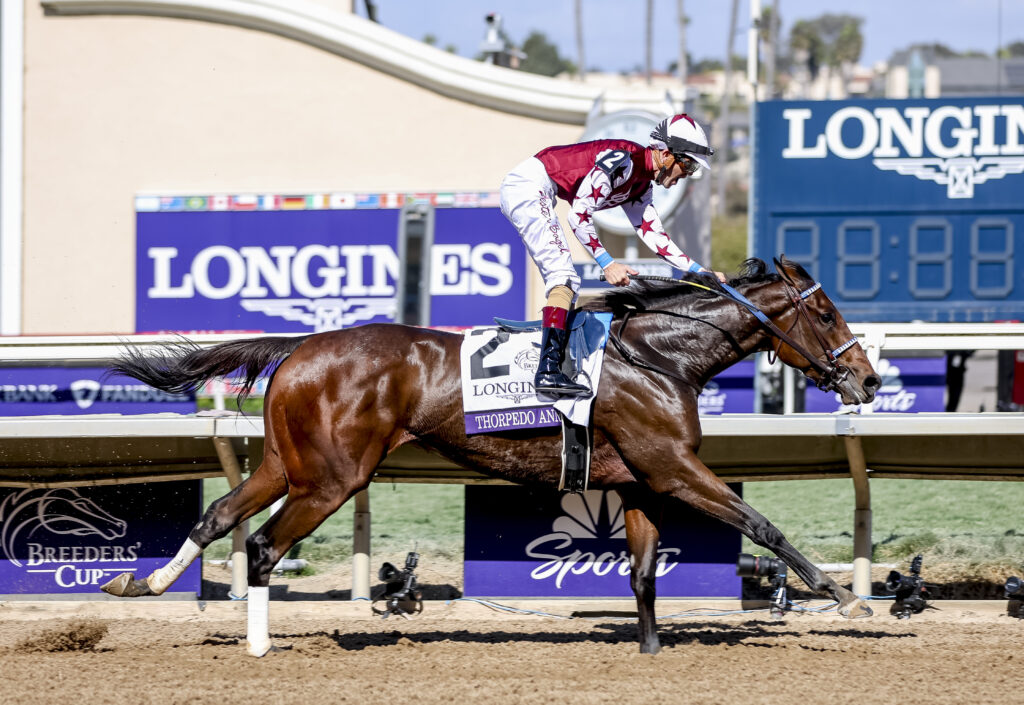 Thorpedo Anna takes out US Horse of The Year