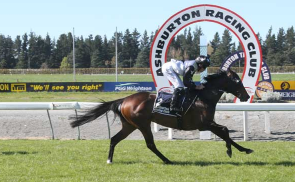 16/3/2023 Horse Racing Tips and Best Bets – Ashburton