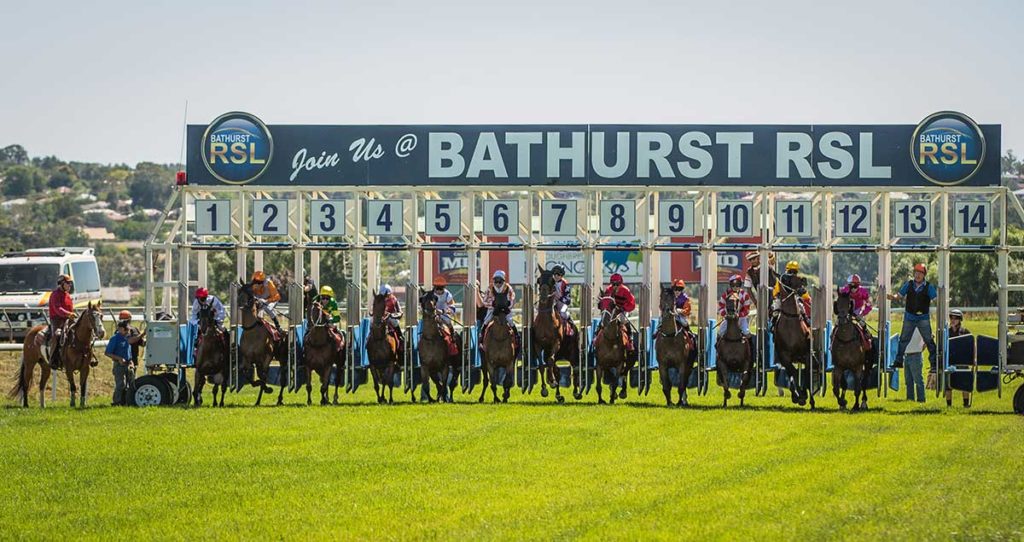 11/6/2024 Horse Racing Tips and Best Bets – Bathurst