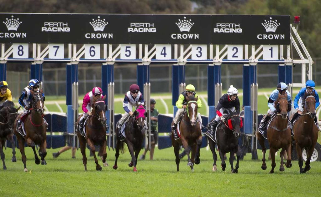 Belmont Guineas Field – 2024