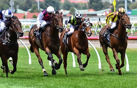 Beltrois dies after winning Red Tempo Handicap 2012 | Sports News Australia