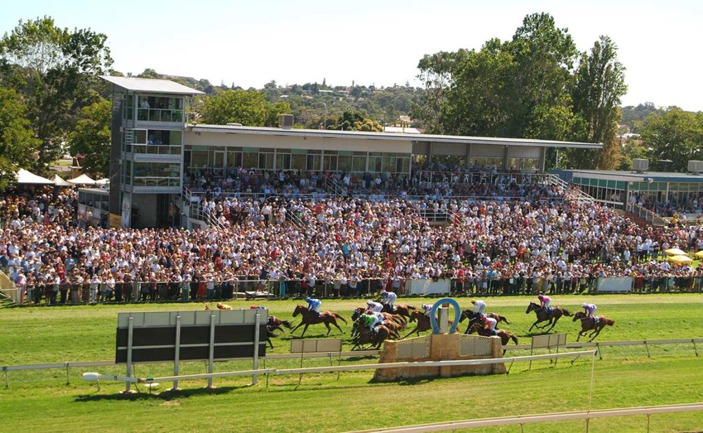 14/11/2024 Horse Racing Tips and Best Bets – Bunbury