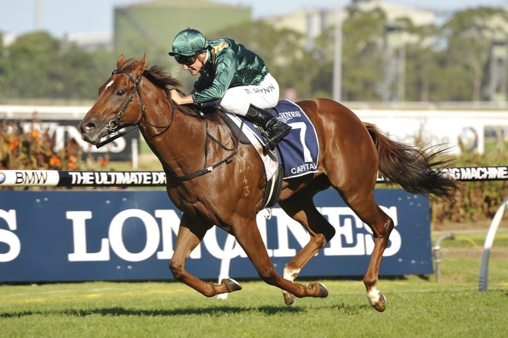 Golden Slipper winner - Capitalist