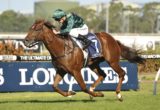 Golden Slipper winner - Capitalist