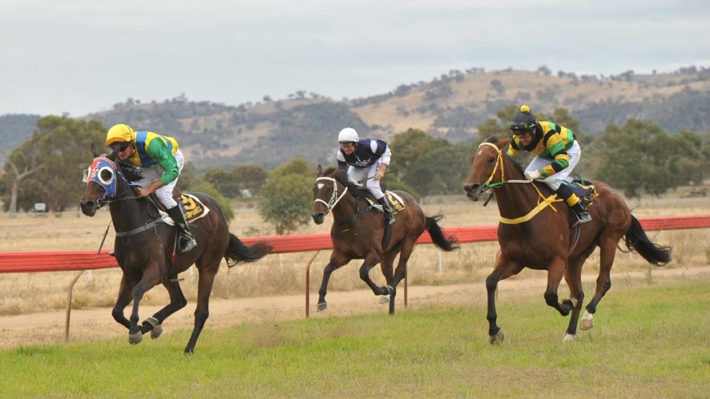 6/10/2024 Horse Racing Tips and Best Bets – Cootamundra, Cootamundra Cup day