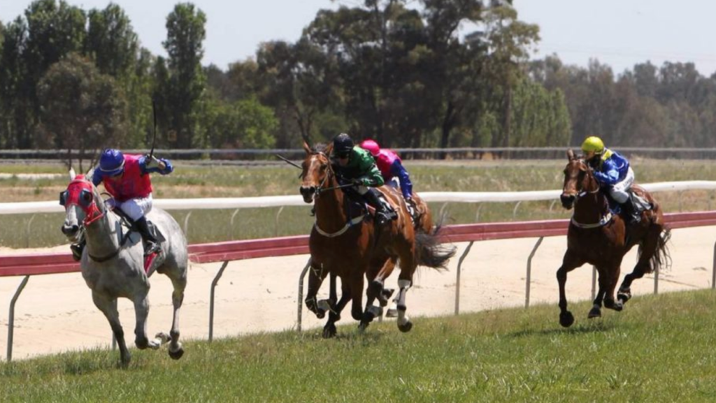 16/9/2024 Horse Racing Tips and Best Bets – Corowa