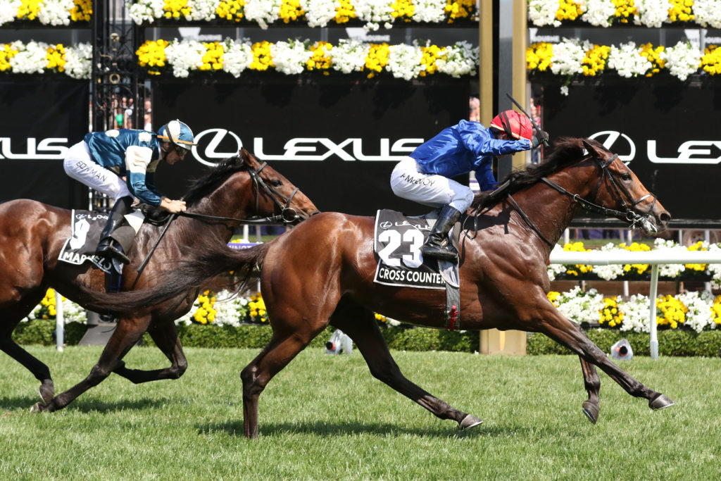 Melbourne Cup Fields History