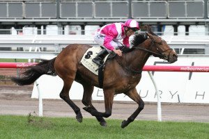 Disposition - Sir Rupert Clarke Stakes 2015