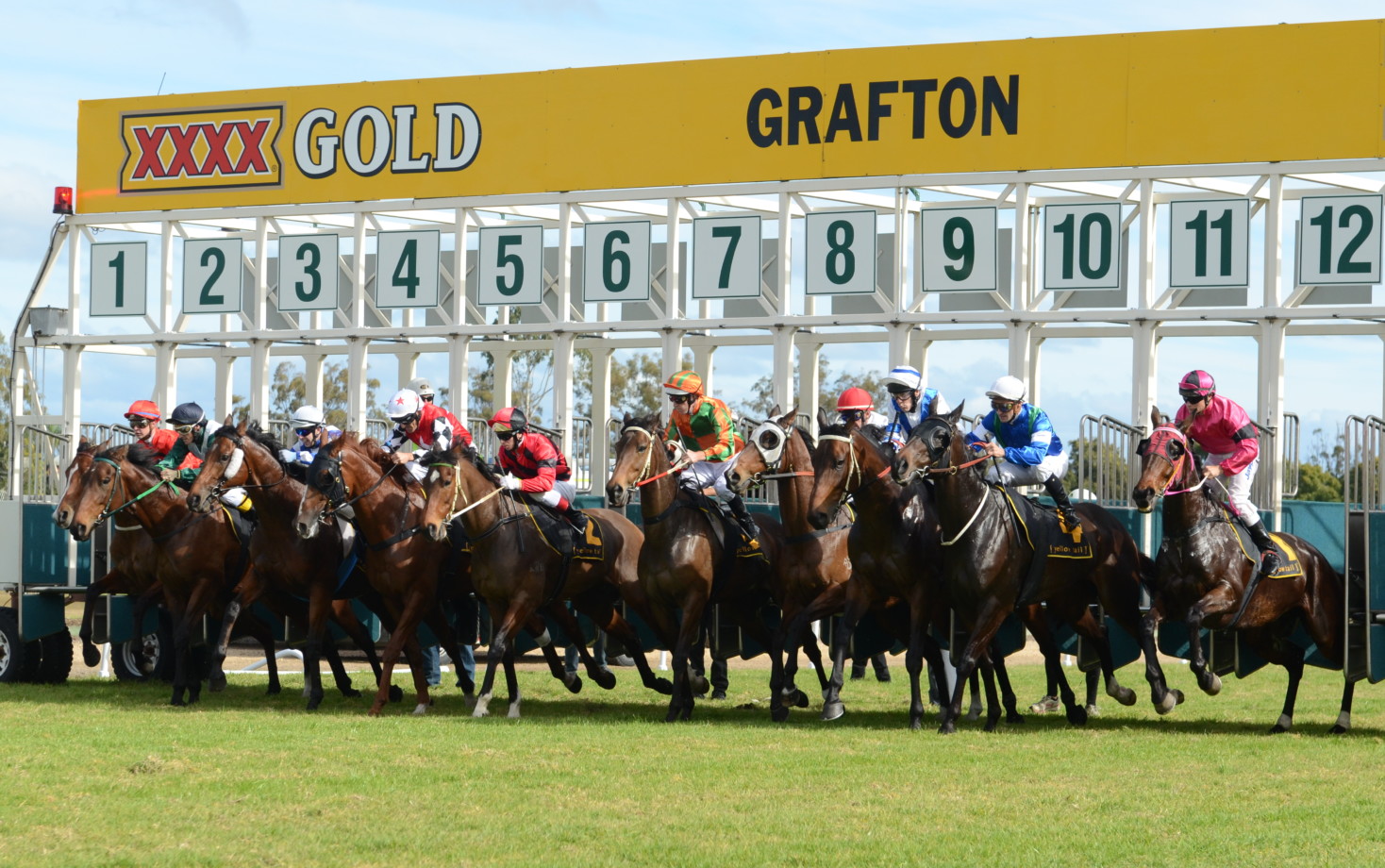 South Grafton Cup 2024 Field, Tips, Betting Odds, Results