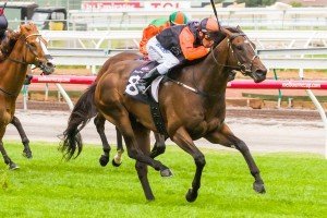 Kaiser Sun winning the Flemington 1840-2014 Handicap at Flemington ridden by Chris Symons and trained by Matthew Ellerton & Simon Zahra - (photo by Steven Dowden/Race Horse Photos Australia)