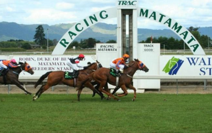 Matamata races