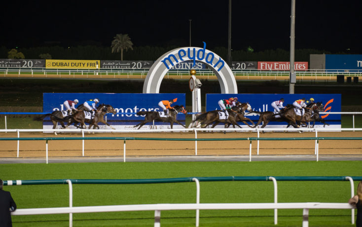 6 Horses Die In January in Dubai Endurance Races