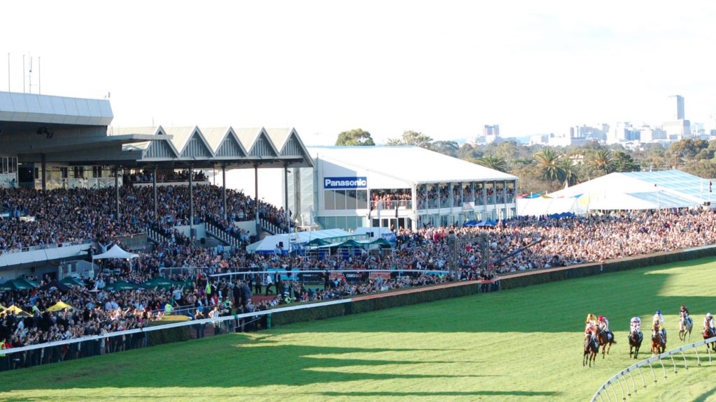 South Australian Sires’ Produce Stakes Field – 2024