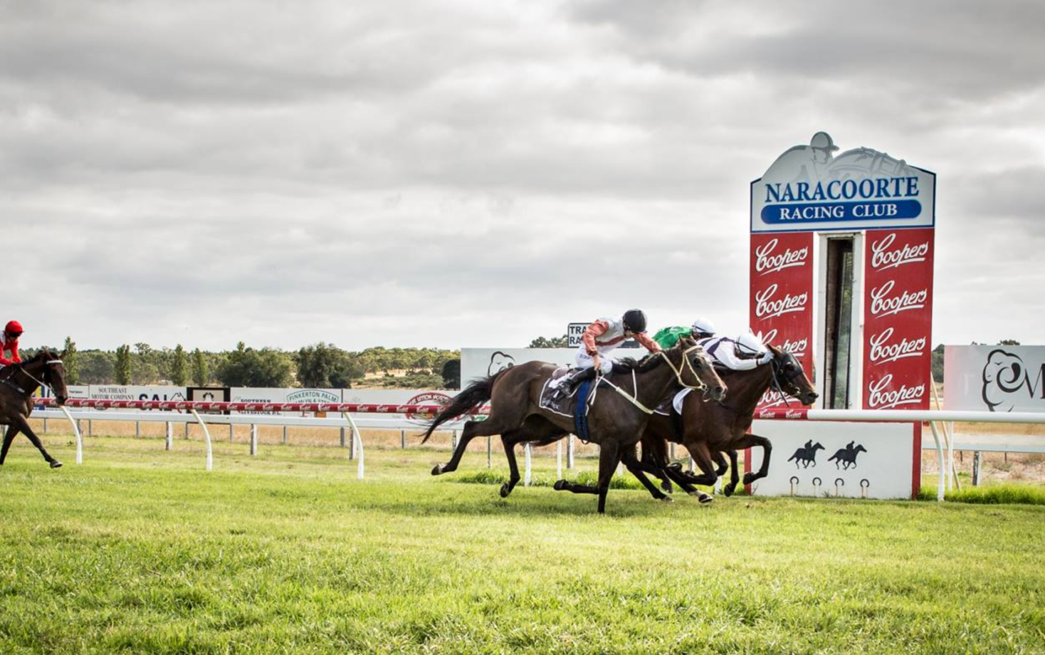 Naracoorte Cup 2025 Field, Tips, Betting Odds, Results