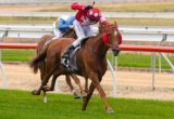 Norsqui winning the 2012 Centrebet Mornington Cup - Photo by Steven Dowden