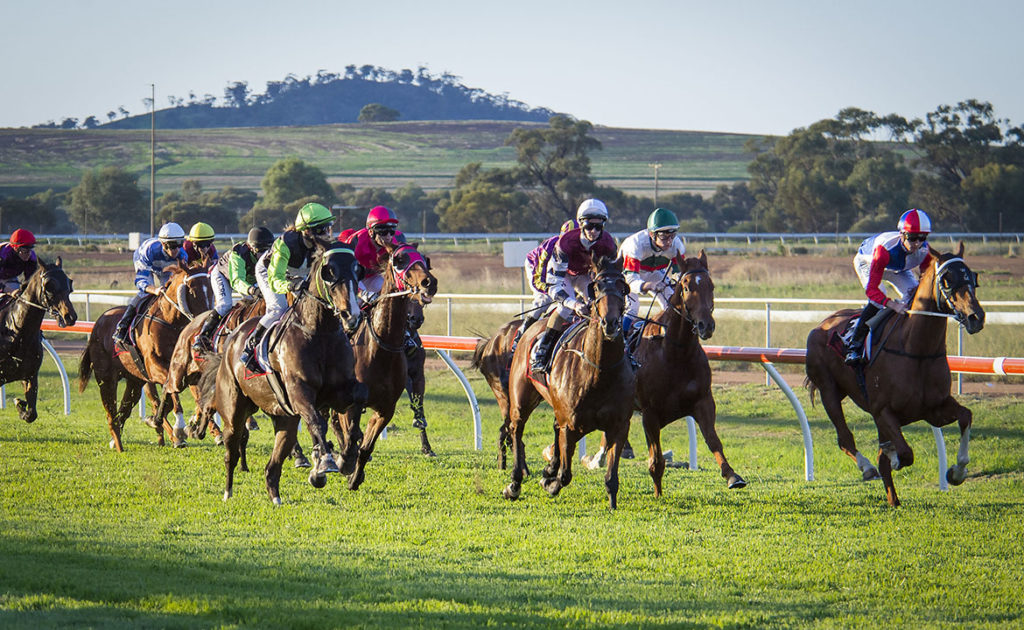 3/6/2024 Horse Racing Tips and Best Bets – Northam, WA Day Cup day