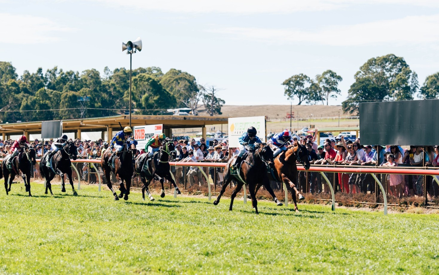 Hills Railway Stakes (Oakbank Stakes) 2025 Field, Tips, Betting Odds