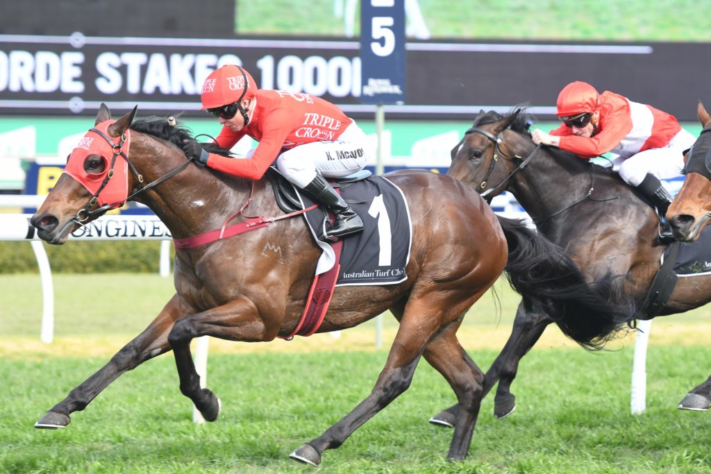 The Everest 2019 Field, Tips, Horses, Odds