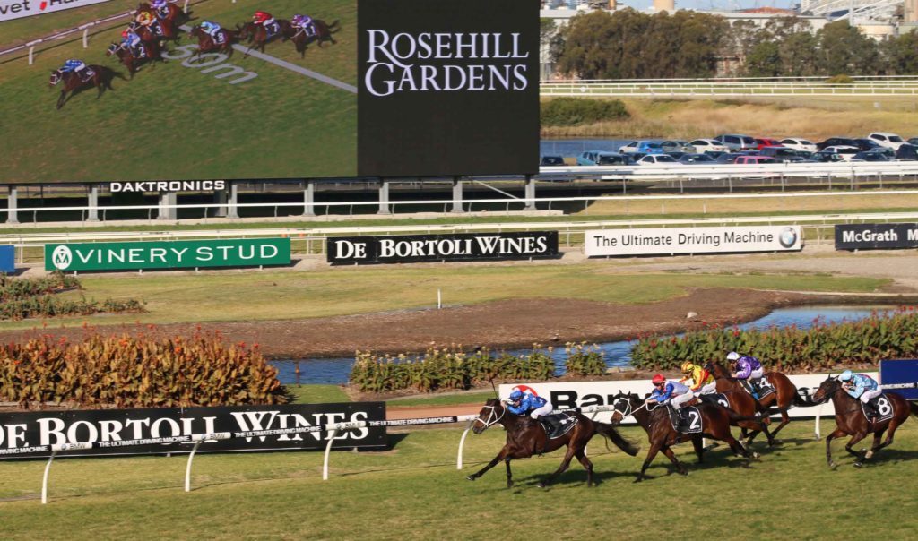 3/8/2024 Horse Racing Tips and Best Bets – Rosehill