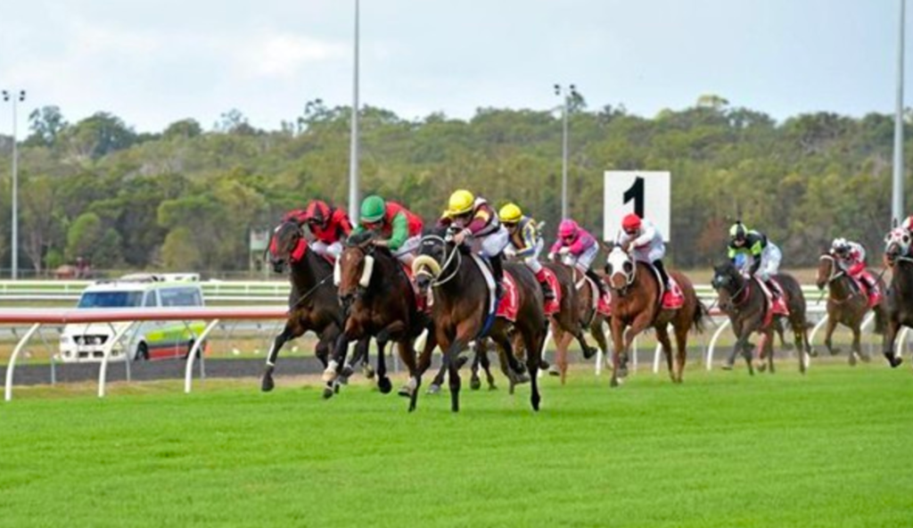 Interesting start to the Sunshine Coast meeting on Saturday