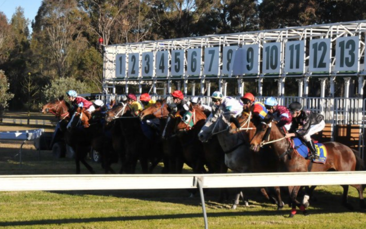 Taree Cup 2020 Field, Tips, Betting Odds, Results