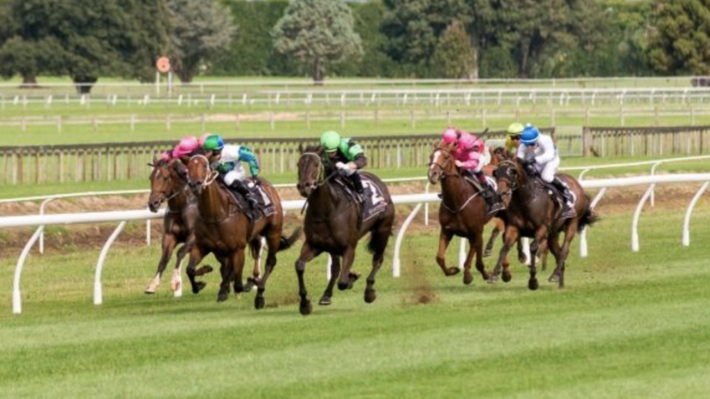 7/7/2024 Horse Racing Tips and Best Bets – Tauranga