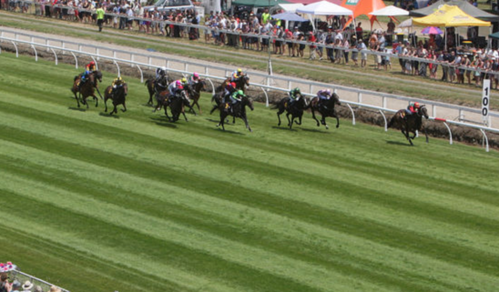 15/9/2024 Horse Racing Tips and Best Bets – Te Rapa