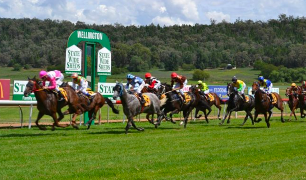 30/5/2024 Horse Racing Tips and Best Bets – Wellington