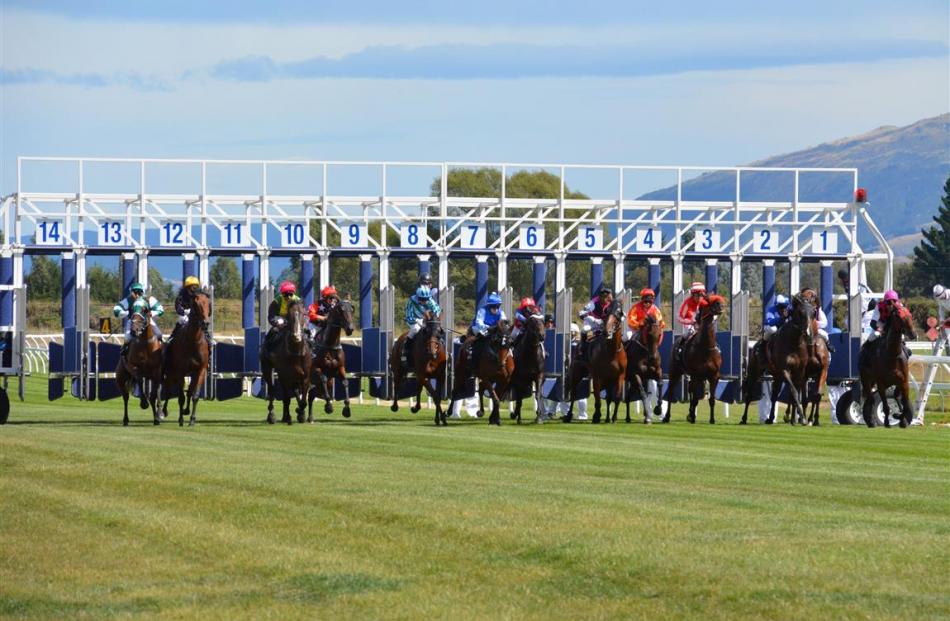 24/5/2024 Horse Racing Tips and Best Bets – Wingatui