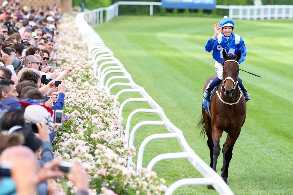 Winx was last beaten in April 2015 by Gust Of Wind in the Australian ...