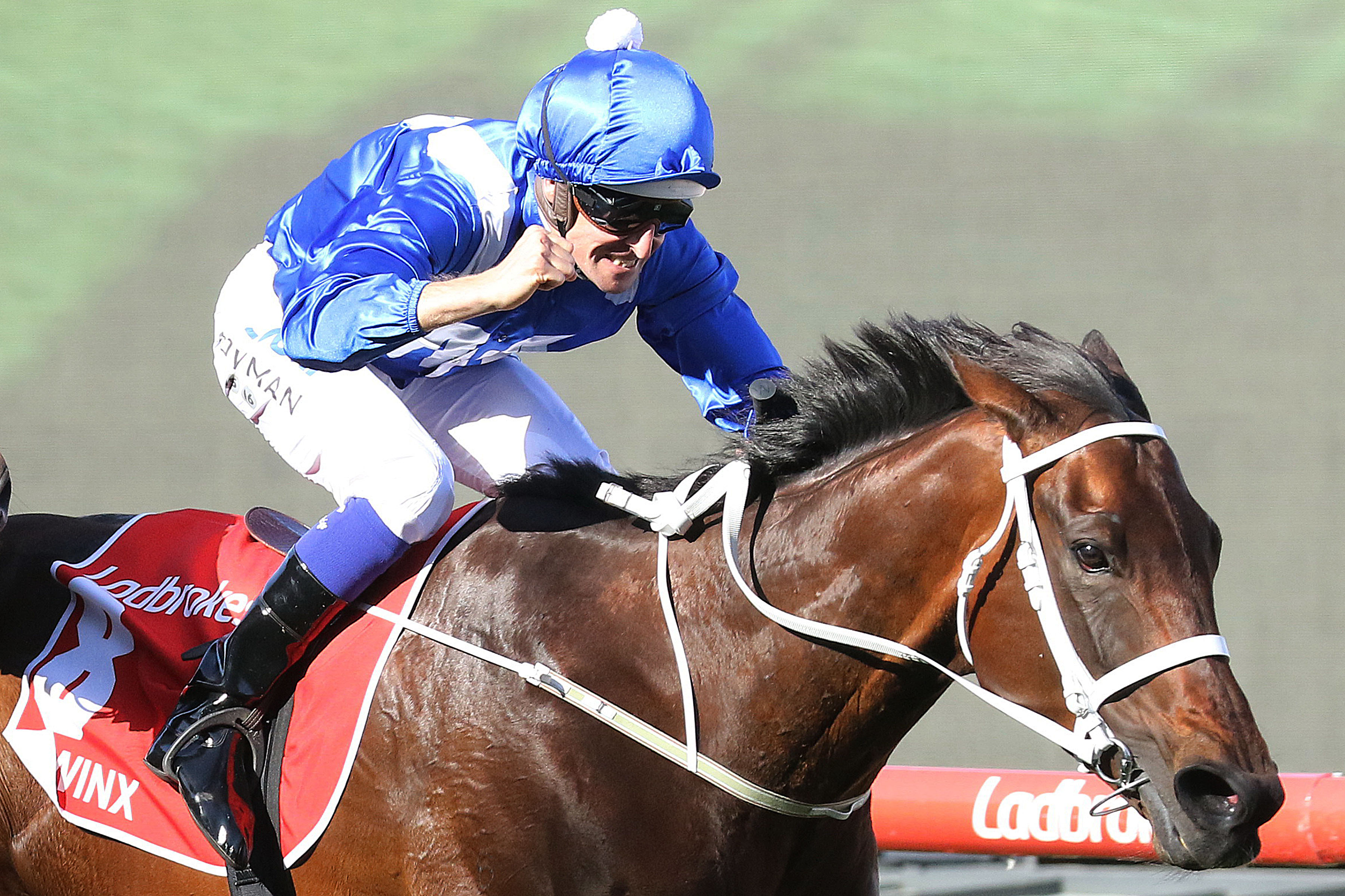 Winx snubbed again in World s Best Racehorse Rankings